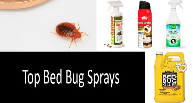 Reviews Top Best Bed Bug Spray of all 2020