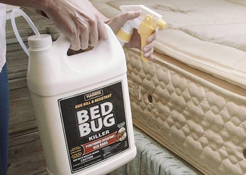 hot shot bed bug spray on mattress