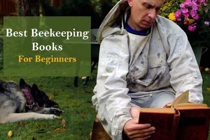 Top Best Beekeeping Books 2020