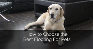 Top Best Flooring For Dogs 2020